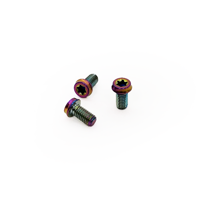 Titanium Bolt Kit for Burns Muffler - True Burned