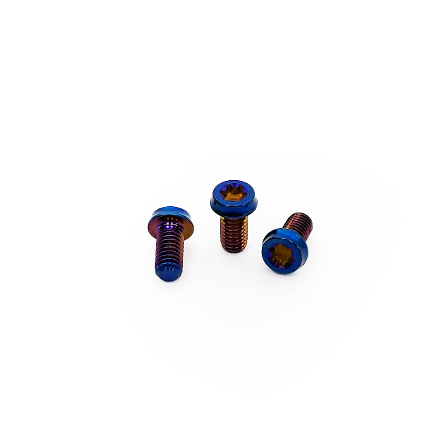 Titanium Bolt Kit for Burns Muffler - PVD Blue