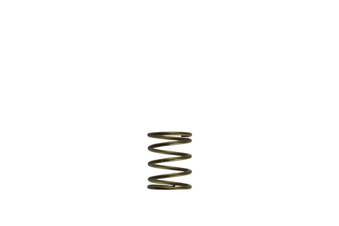 TS-0550-3085 Turbosmart GenV WG45/50 3psi Orange Inner Spring