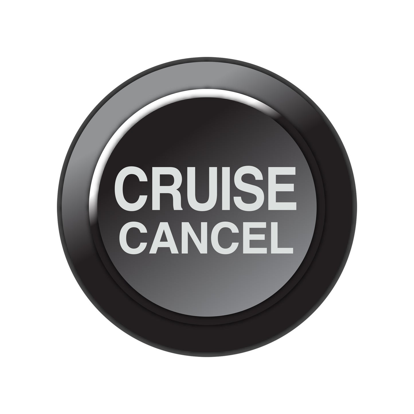101-0261 Link CAN Keypad Insert - Cruise Cancel