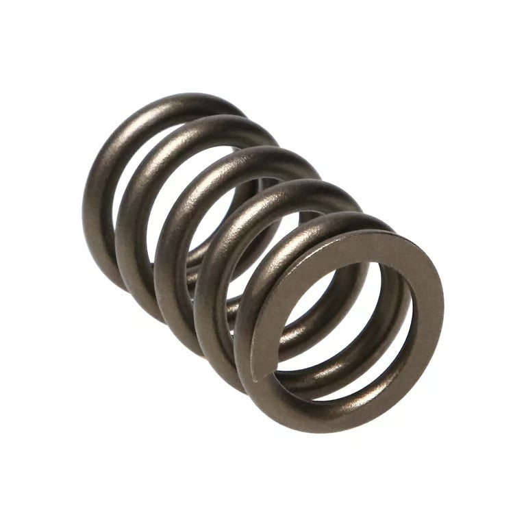 22155-1 Manley Kit Spring Nissan Patrol Tb48