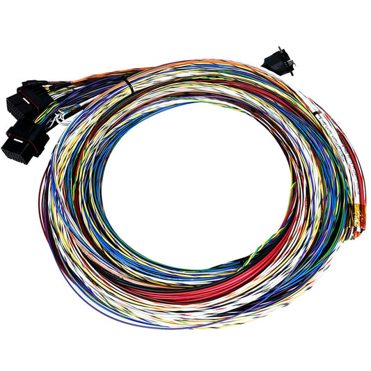 Motec MX00/M84 Basic Harness, 10' Unterminated
