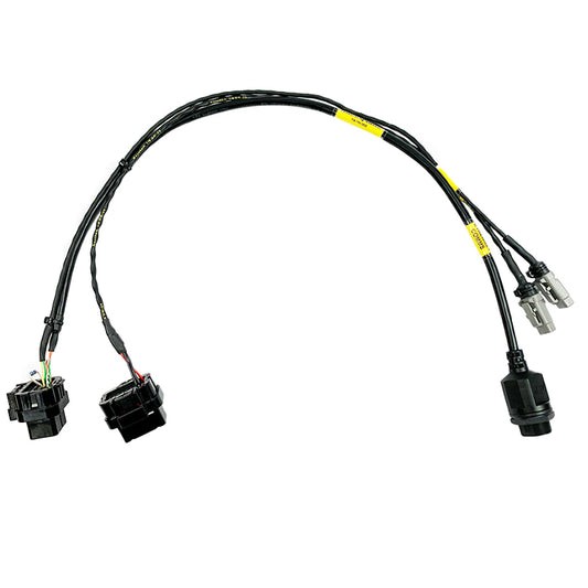 Motec M1 Enable Harness