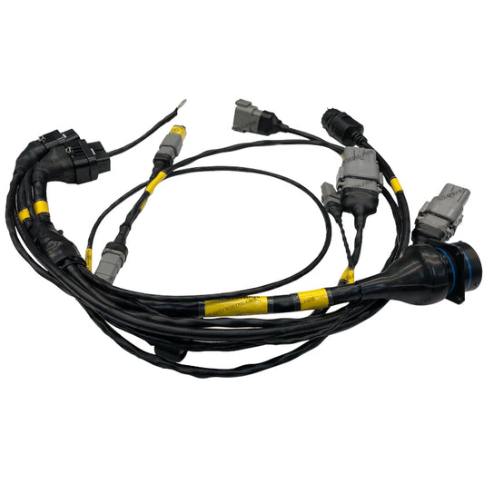 Motec LOORRS PRO LITE CHASSIS LOOM