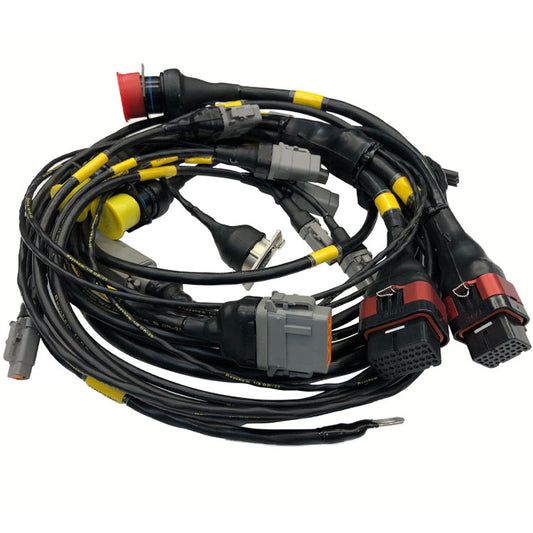 Motec LOORRS PRO 2/4 Chassis Loom