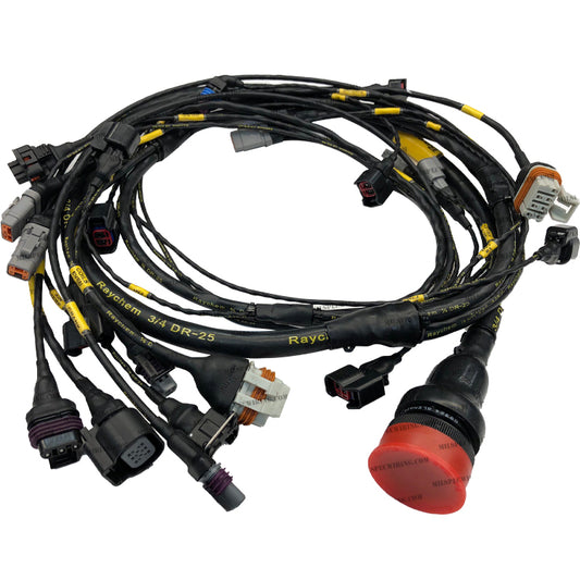 Motec LOORRS PRO LITE ENGINE LOOM