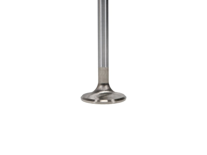 11657-4 Manley Volkswagen Rabbit Exhaust Valve Kit - 34.00mm Head Dia. 3.976in O/A Length, 0.3130in Stem