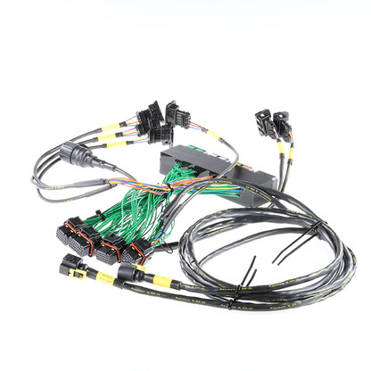 Boomslang - Plug-and-Play Harness Kit for Emtron KV16 | 1996-1998 Ford Mustang 4.6L Manual Transmission Type