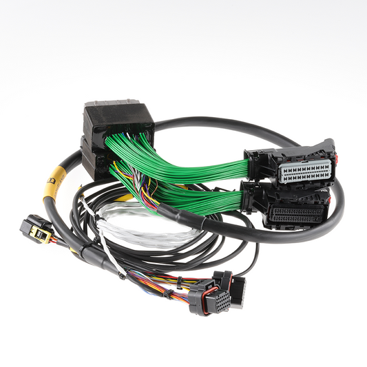 Boomslang - Plug-and-Play Harness Kit for Holley Terminator X | 2006-2007 Chevrolet Corvette LS2 Manual Transmission Type