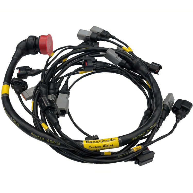 Motec LOORRS PRO 2/4 Engine Loom