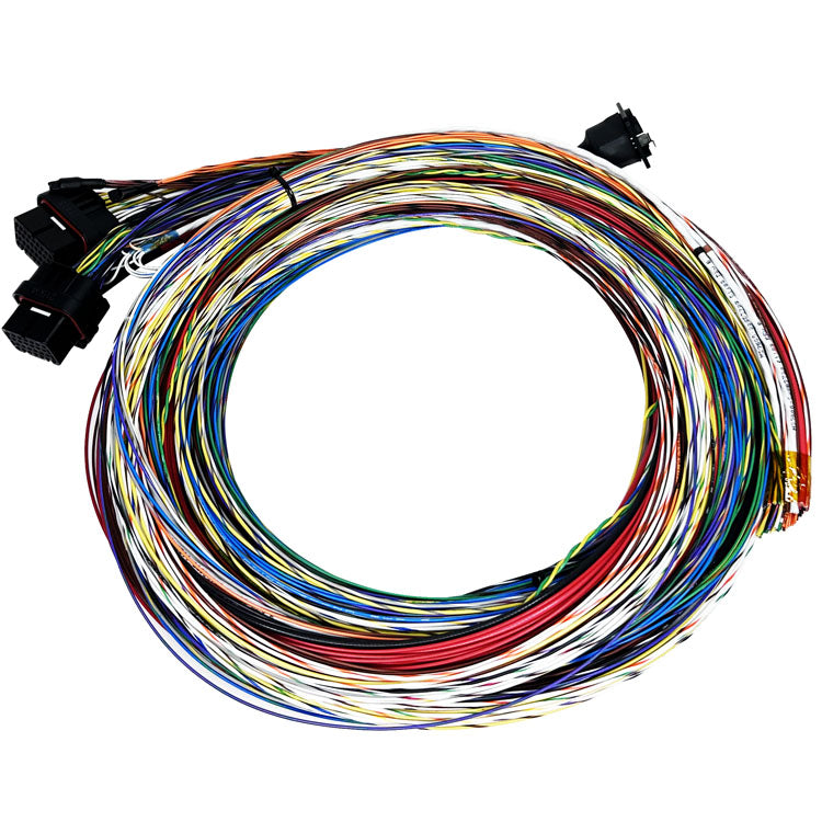 Motec MX00/M84 Basic Harness, 10' Unterminated