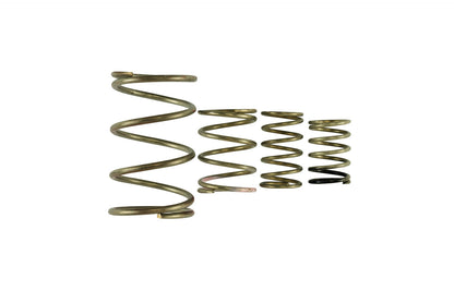 TS-0550-3150 Turbosmart GenV WG38/40 Spring Replacement Kit