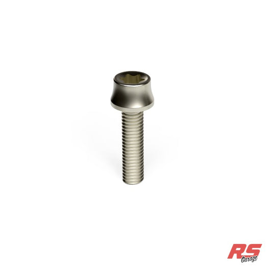 Bolt, Titanium, Volcano Torx Head, M6x1.0, 30mm Long - True Burned