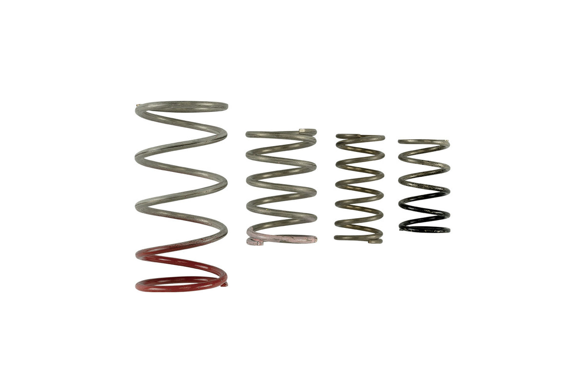 TS-0600-2011 Turbosmart GenV IWG Spring Replacement Kit