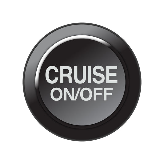 101-0259 Link CAN Keypad Insert - Cruise On/Off