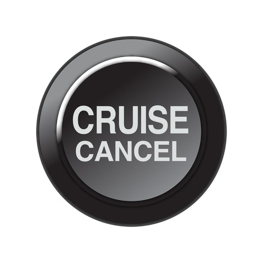 101-0261 Link CAN Keypad Insert - Cruise Cancel