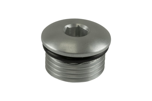 TS-OB-10-CL Turbosmart Fitting -10 AN ORB Blank - Silver