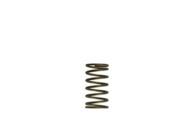 TS-0550-3089 Turbosmart GenV WG60 3psi Inner Spring
