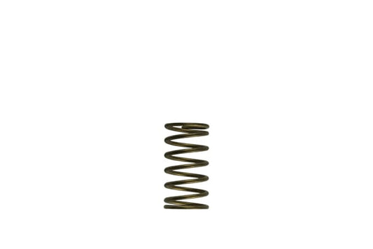 TS-0550-3089 Turbosmart GenV WG60 3psi Inner Spring