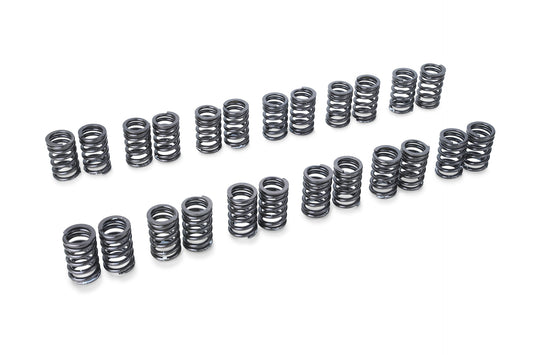 TA304A-NS05A Tomei 52.9LBS Valve Springs A-type Nissan Skyline GTR Gt-r R32 R33 R34 RB26DETT 173001 TA304A-NS05A