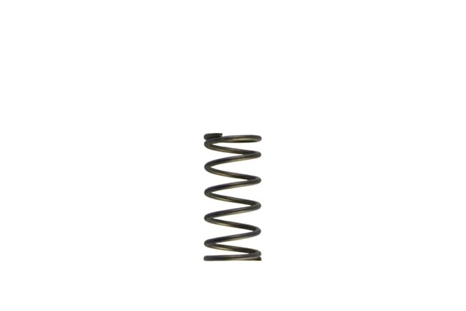 TS-0550-3090 Turbosmart GenV WG60 5psi Purple Inner Spring