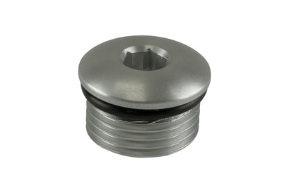 TS-OB-10-CL Turbosmart Fitting -10 AN ORB Blank - Silver